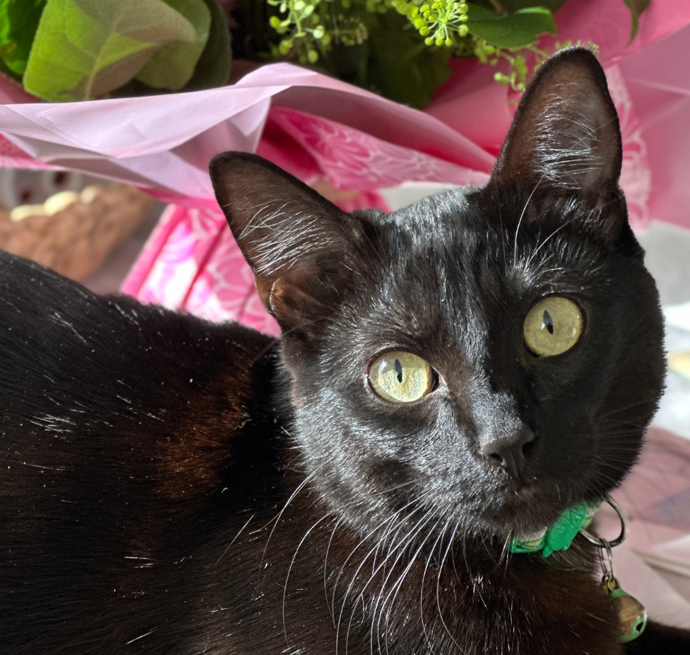 Photos site internet (13)