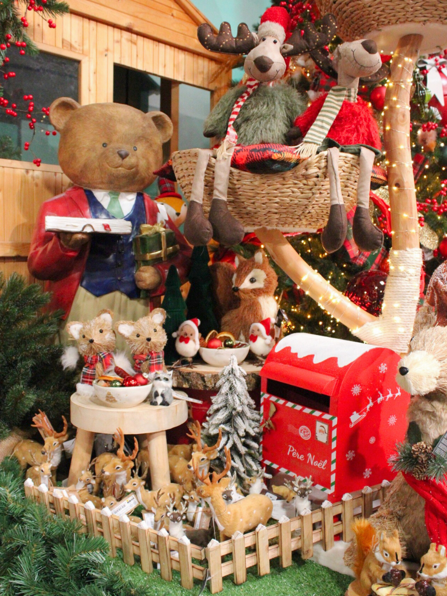 Photos site internet (4)