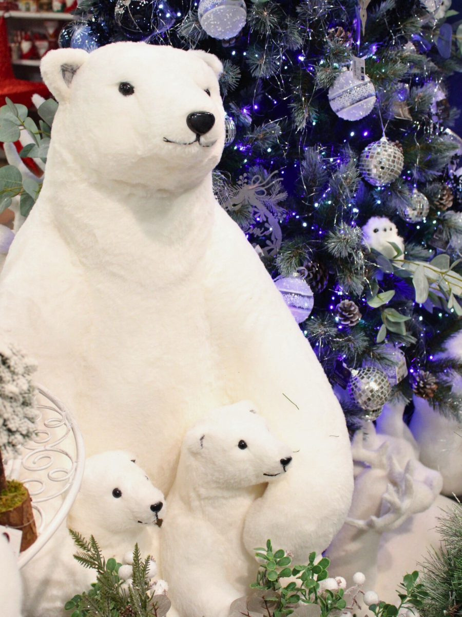 Photos site internet (6)