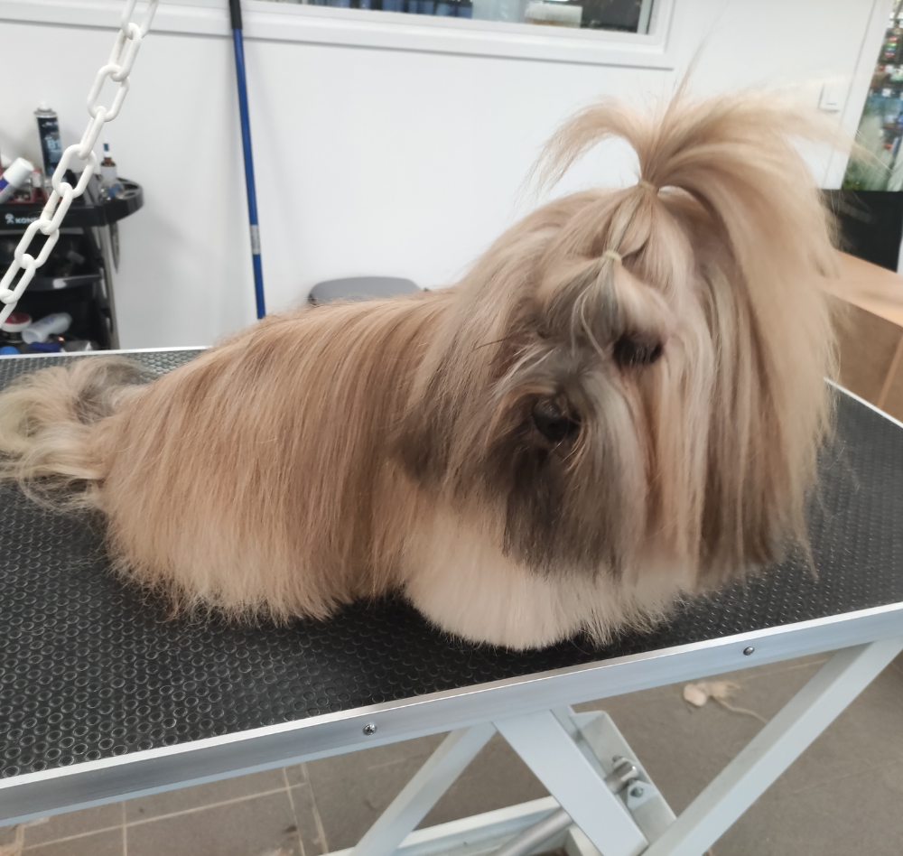 Photos site internet (7)