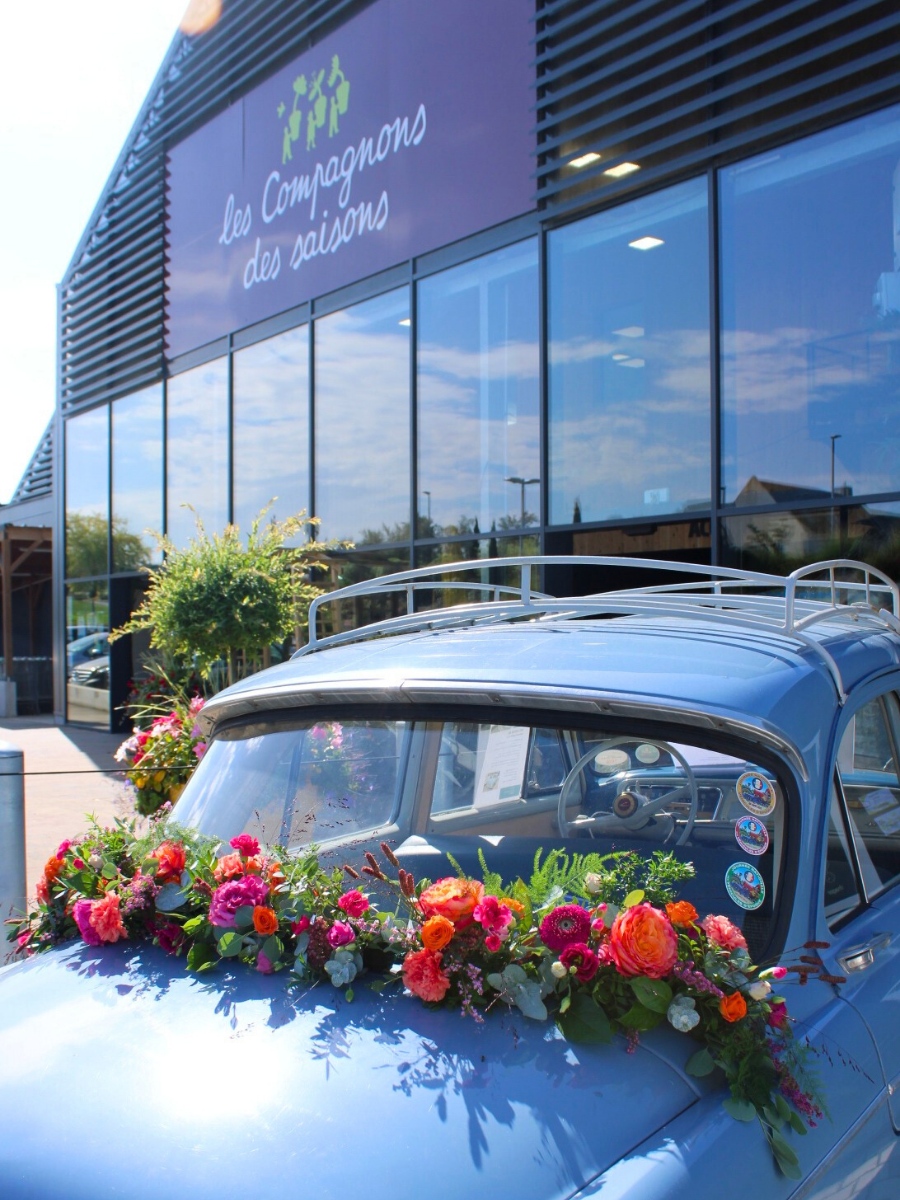 Photos site internet (8)