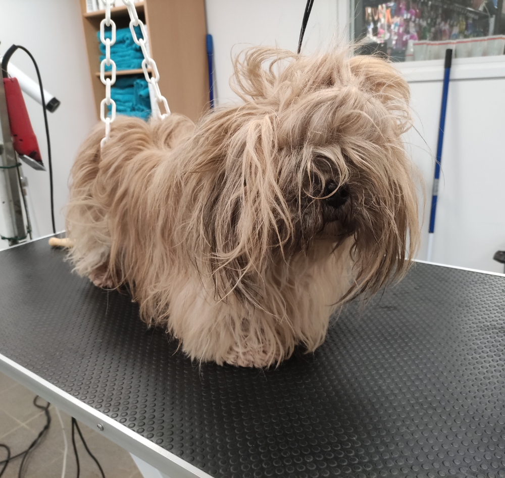 Photos site internet (8)