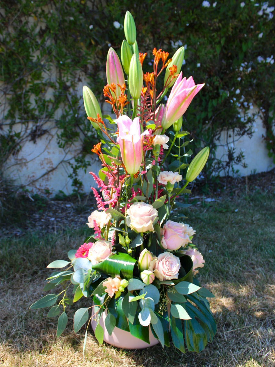 Photos site internet (9)