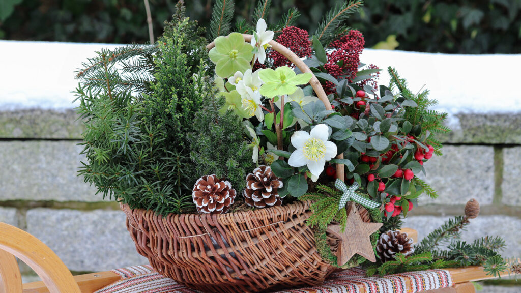 Les Compagnons des Saisons Yffiniac balconnieres-hiver-decorer-balcon